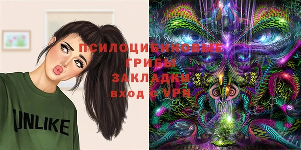 амф Дмитриев