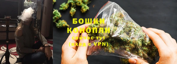 МДПВ Гусев