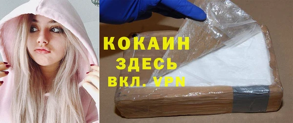 амф Дмитриев