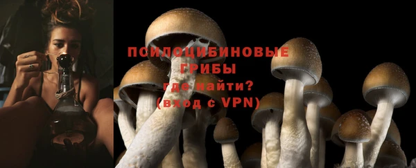 амф Дмитриев