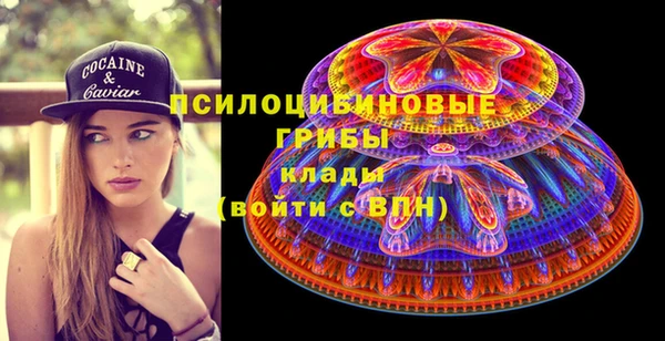 МДПВ Гусев