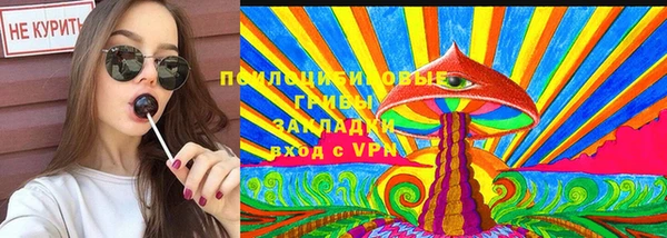 МДПВ Гусев