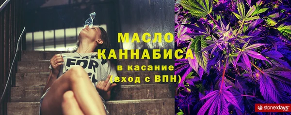 МДПВ Гусев