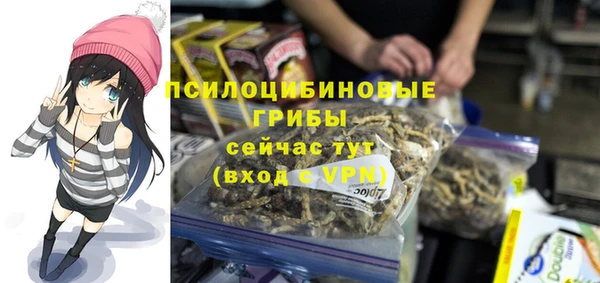 МДПВ Гусев