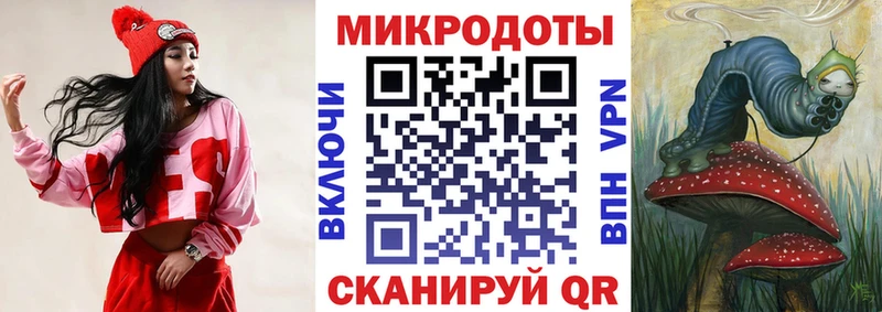 Псилоцибиновые грибы Magic Shrooms  Купить закладки  Куровское 